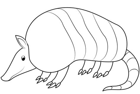 Realistic Nine Banded Armadillo Coloring Pages