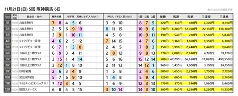 11月21日日 5回 阪神競馬 6日 彪takeshiの競馬予想