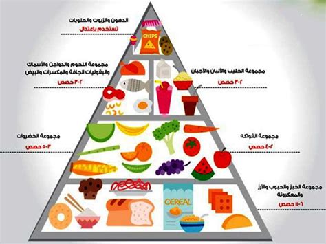 ماهو الهرم الغذائي كلمات ومعاني الجيل الطموح