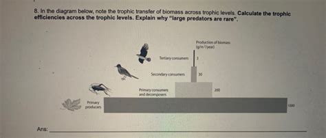 Solved In The Diagram Below Note The Trophic Transfer Of Chegg