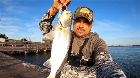 Pesca De Curvinas Con Jigs Youtube