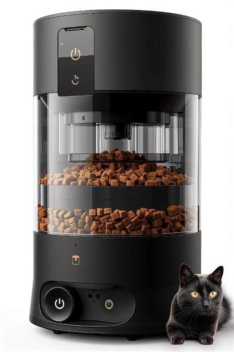 Best Automatic Cat Feeders For 2023 Artofit