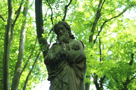 Praying Man Statue Surrounded By Trees Free Photos Uihere