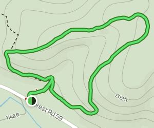 Whitetail Trail Loop: 5 Reviews, Map - Virginia | AllTrails