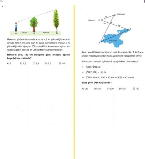 Sorular Ekte Z Ml Atabilir Misiniz Eodev