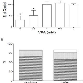 The Effects Of Vpa On Cell Proliferation And Cell Apoptosis In Hcc