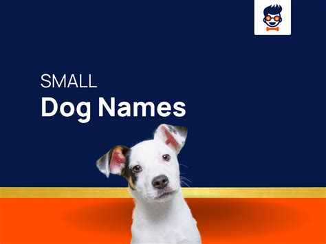 443+ Cute Small Dog Names for Your Companion (+Generator)