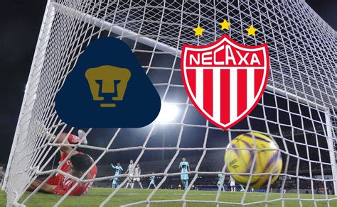 Pumas Vs Necaxa ¡en Vivo Jornada 4 Clausura 2024