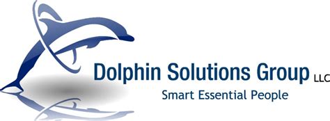 Dolphin Solutions Group Llc