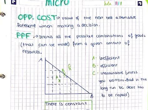 Bundle All A Level Economics Notes Teaching Resources