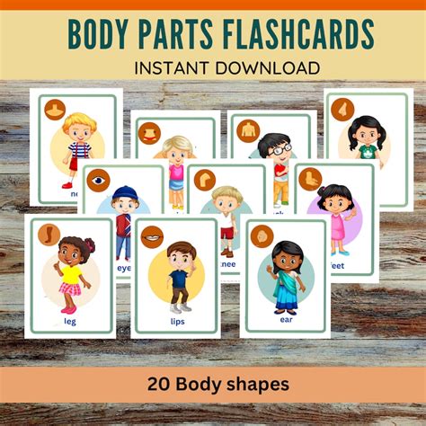 Body Parts Flashcards for Preschoolers Prek Kindergarten Printable ...