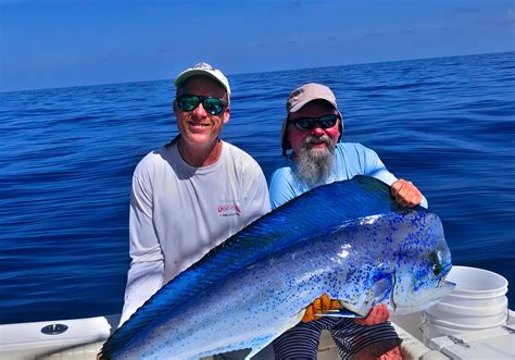 How To Catch Mahi In The Florida Keys Florida Keys Fishing Charters