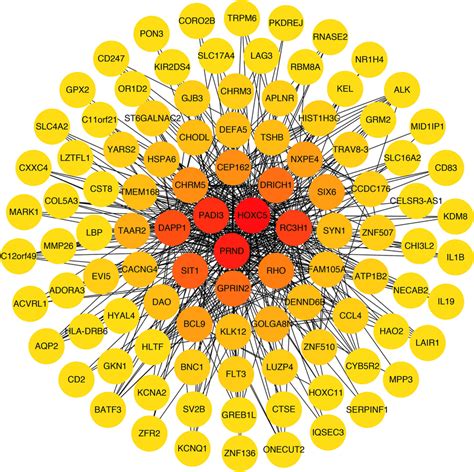 Proteinprotein Interaction Networks Of Genes In Midnightblue Module Download Scientific