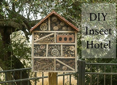 How To Make A Diy Insect Hotel An Easy Backyard Project Insect