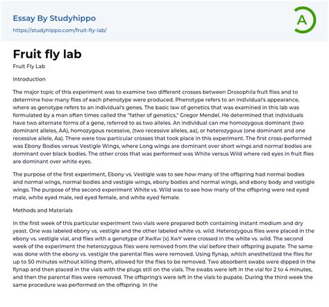 Fruit Fly Lab Essay Example