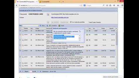 ConstruBase Nube Copiado de conceptos e importación de matrices a