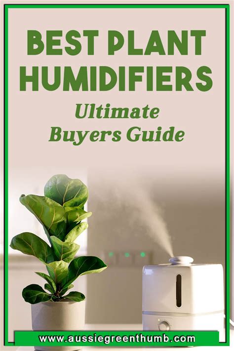 Best Plant Humidifiers For Tested And Reviewed