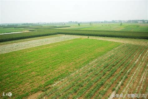 農村土地承包權確權之後，經營權證書或將開始頒發！ 每日頭條