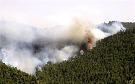 Incendios Forestales Consumen Más De 6 Mil Hectáreas De Bosques