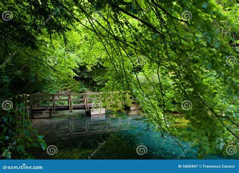 The Silent Pool stock image. Image of hiking, long, hidden - 5660407