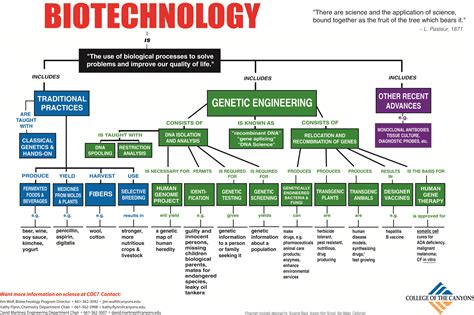 Biotechnology Flow Chart