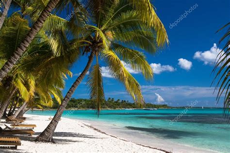 Tropikalnej plaży w Morze Karaibskie Saona island Dominikana