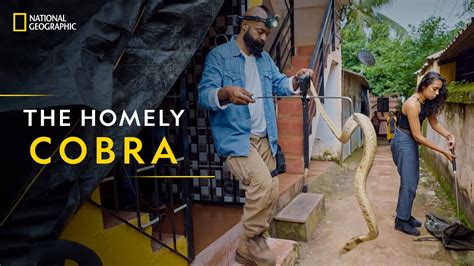 The Homely Cobra Snake Sos Goa S Wildest National Geographic Youtube