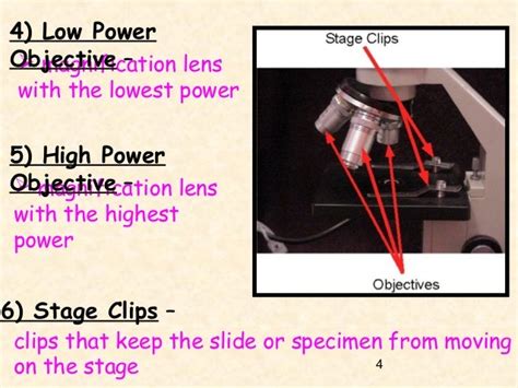 Microscope Objective Lens Powers - Micropedia