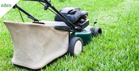 7 Best Mulching Lawn Mowers For Your Yard Eden Lawn Care And Snow Removal