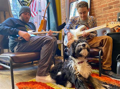 An Unlikely Arrival On The Upper East Side: A New Guitar Shop | Upper