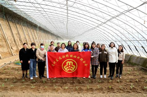 幸福“她”力量，马驹桥镇开展多彩活动庆祝“三八”女神节