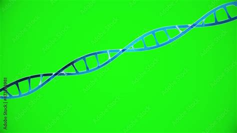 Looping Blue And Shiny Dna Strand Animation On Greenscreen Dna Slowly