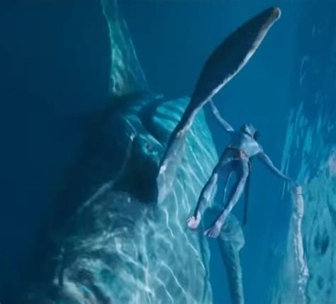 A Man Standing Next To A Giant Shark In The Ocean