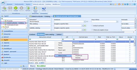 Nexus Erp Posibilitate Deschidere N Editare Simplificat I Detaliat