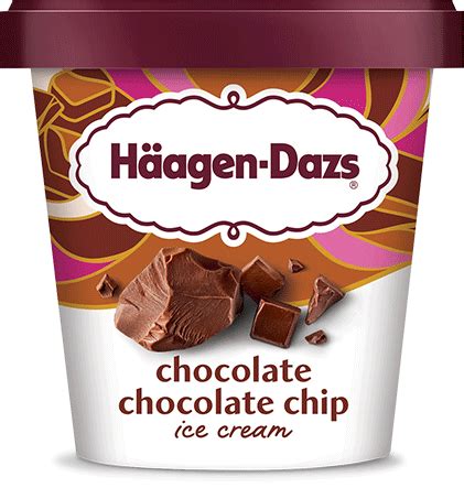 Chocolate Chocolate Chip Ice Cream | Häagen-Dazs®