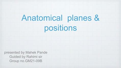 Anatomical Planes And Positions Pptpptx