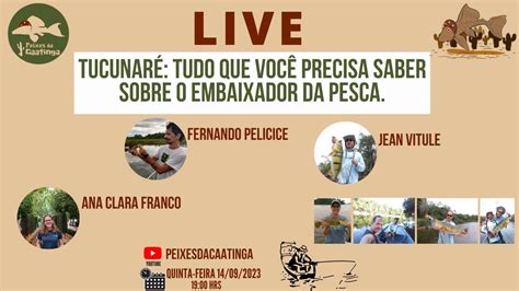 Tucunar Tudo Que Voc Precisa Saber Sobre O Embaixador Da Pesca