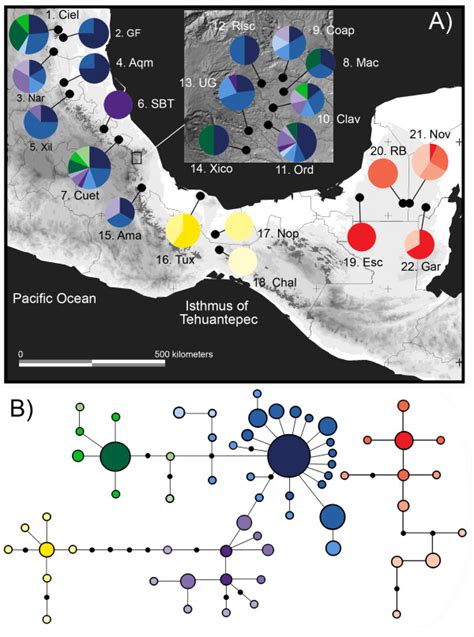 Sampling Localities Geographic Distribution And Genealogical