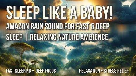 Sleep Like A Baby Amazon Rain Sound For Fast Deep Sleep Relaxing