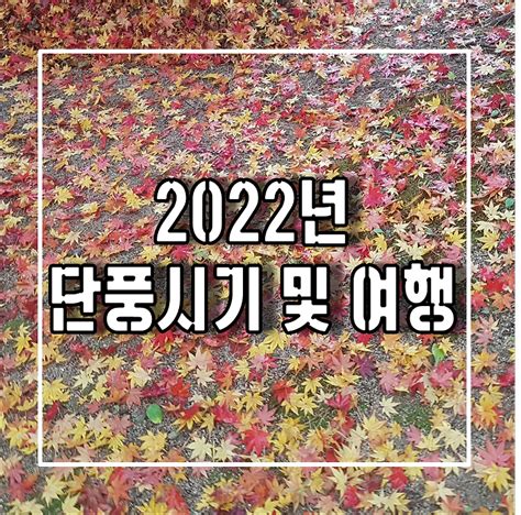 2022 가을 단풍 시기와 국내 단풍 여행 추천