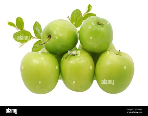 Fresh Jujubes Fruits Isolated On White Bsackground Stock Photo Alamy