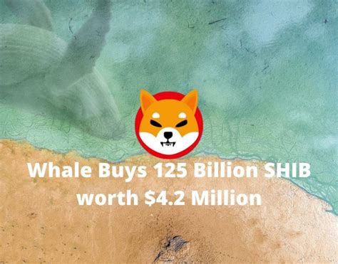 Mysterious Shiba Inu Whale Buys 125 Billion SHIB Coins Worth 4 2