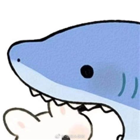 Pin By Sharkie Uwu On Sharks🫂🦈 Cute Couple Wallpaper Dog Match