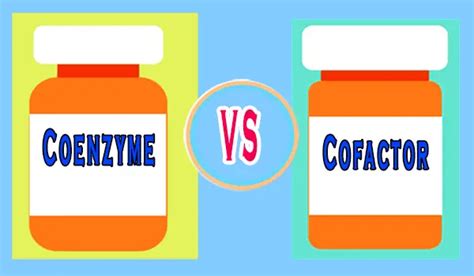 Difference between Cofactor and Coenzyme