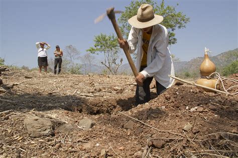 Fao Y Wfp Preocupados Por El Grave Impacto De La Sequía Entre Los Más