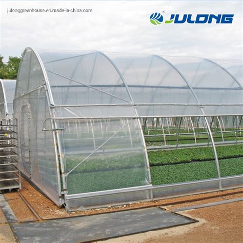 Single Span Plastic Film Tunnel Greenhouse Tomto And Lettuce