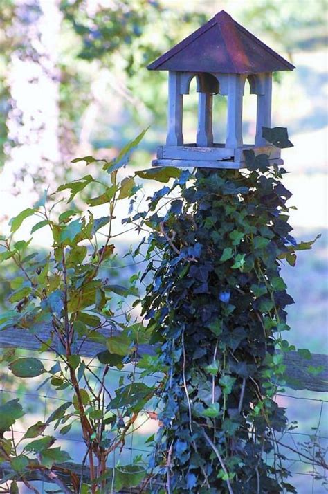 Simple Pleasures All In Bokeh Cottage Garden Garden Birdhouses