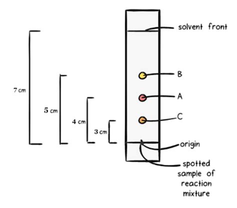 [solved] Tlc Analysis Choose The Best Answer 1 Using The Tlc Plate Image Course Hero