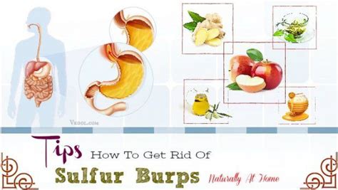 Tips How To Get Rid Of Sulfur Burps Naturally At Home