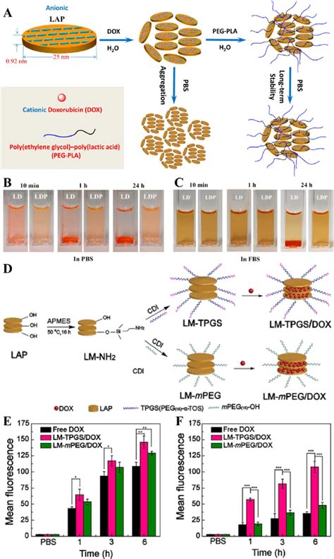 A Schematic Representation Of The Fabrication Of LP DOX LD